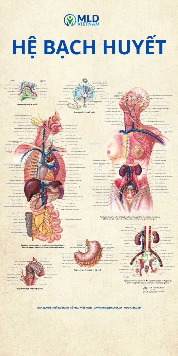 NỘI DUNG CHƯƠNG TRÌNH LEVEL 2